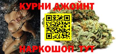 прущие грибы Будённовск