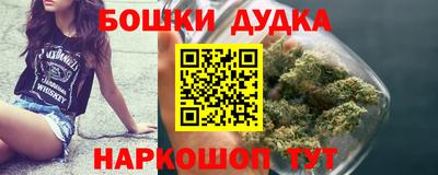 прущие грибы Будённовск