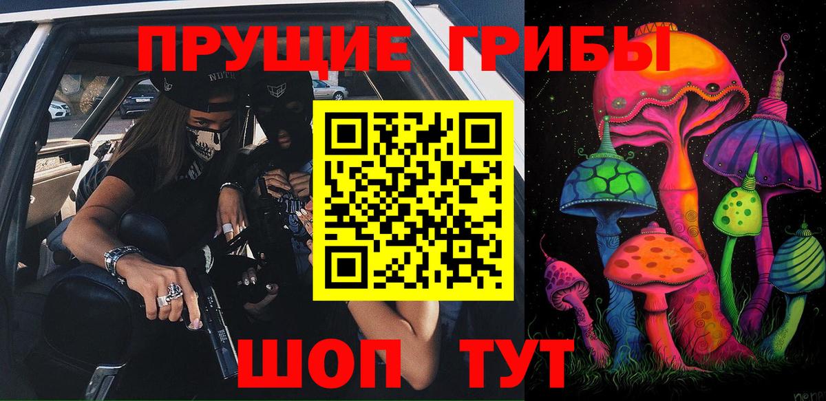 Галлюциногенные грибы Cubensis Майкоп